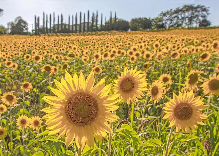 Cozy In With Wifi Σπίτι διακοπών